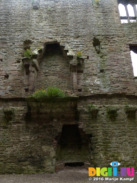 FZ028905 Fireplaces Ludlow castle